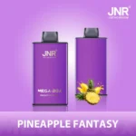 JNR Mega box 25k Disposable vape